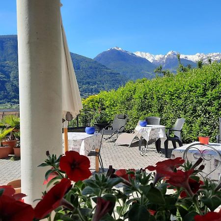 B&B Il Grappolo Bianzone Экстерьер фото