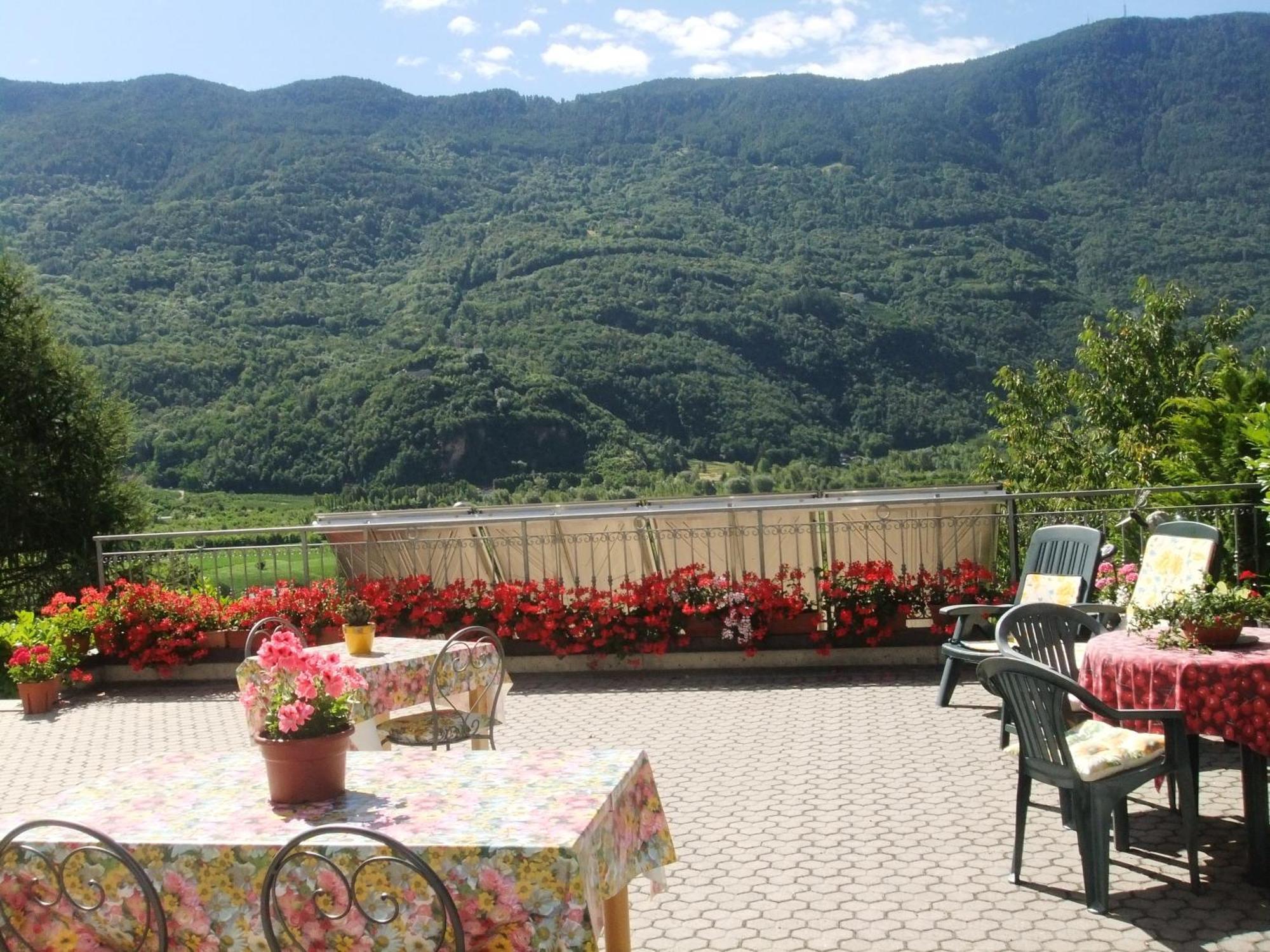 B&B Il Grappolo Bianzone Экстерьер фото